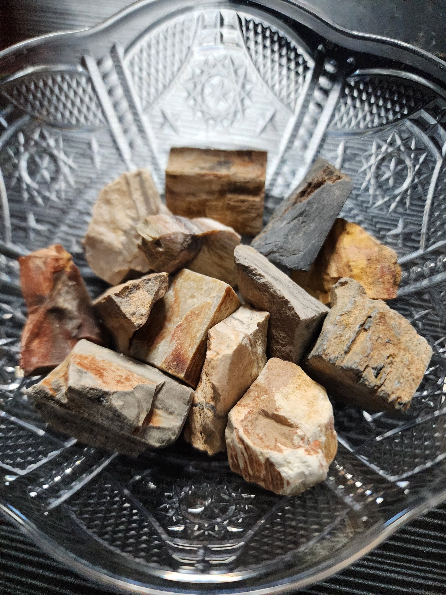 Petrified Wood Raw Tumble Stones