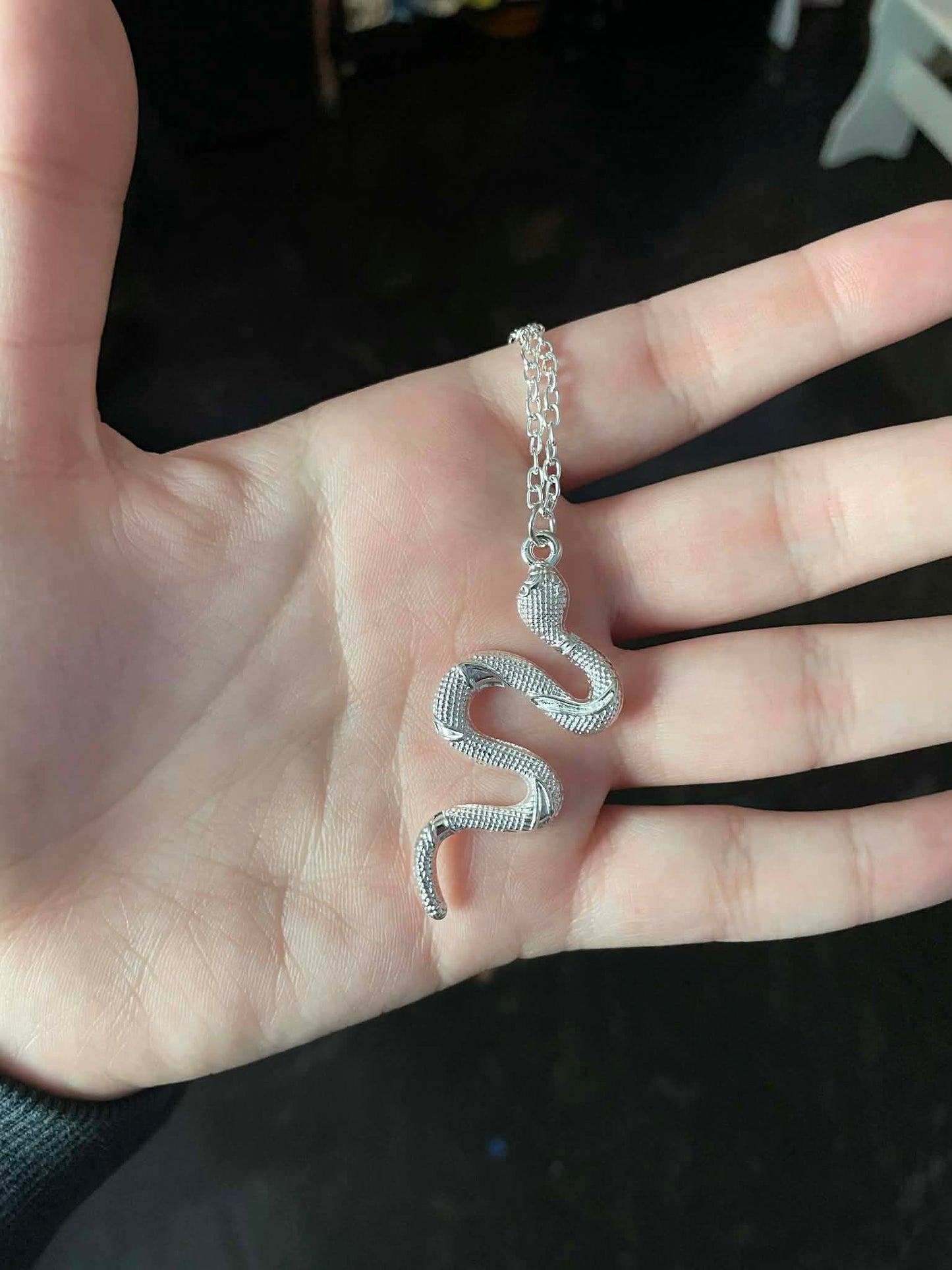 Silver Snake Necklace