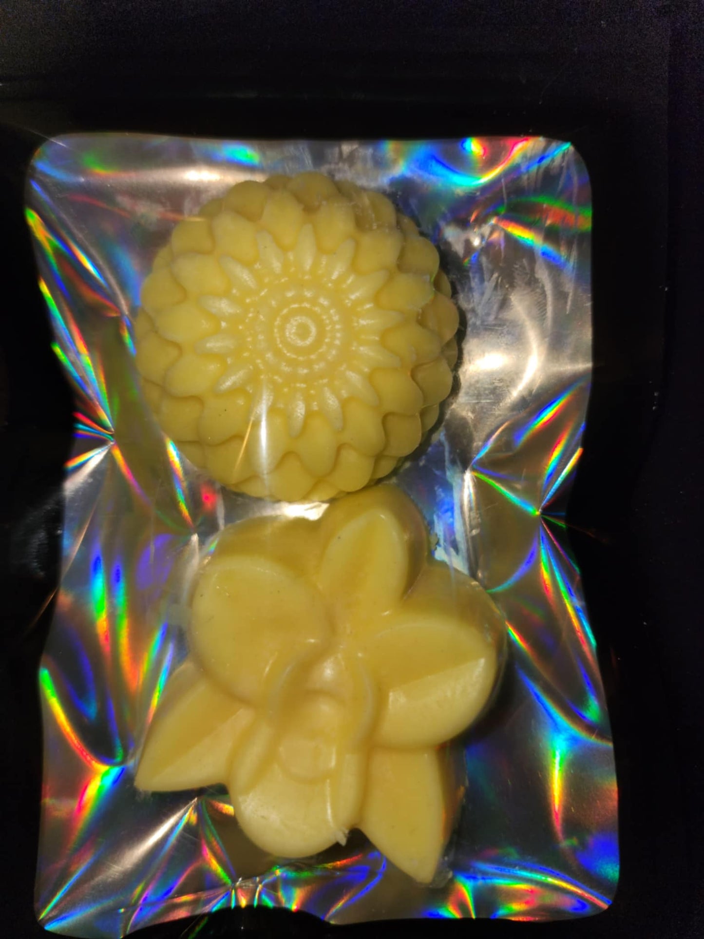 Sunwitches Solstice | Seasonal Jumbo Wax Melt Pack