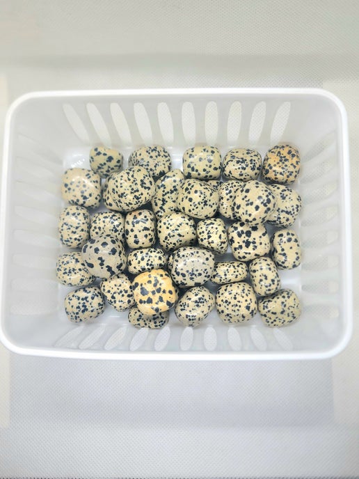 Dalmatian Jasper Tumbled Stones