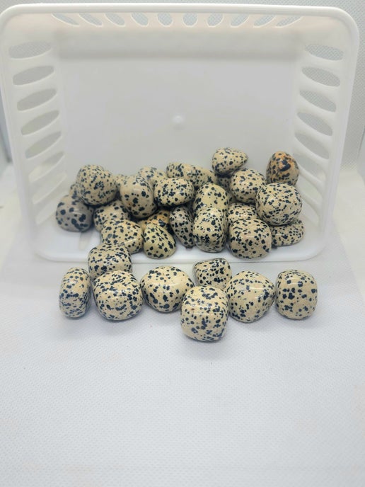 Dalmatian Jasper Tumbled Stones