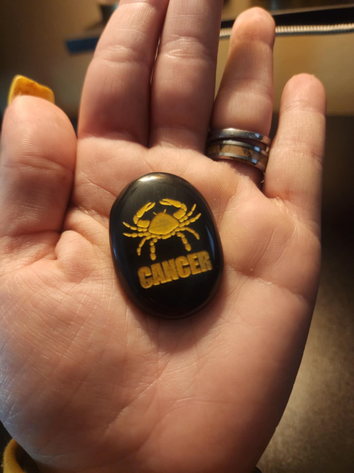 Zodiac Black Agate Palm Stone
