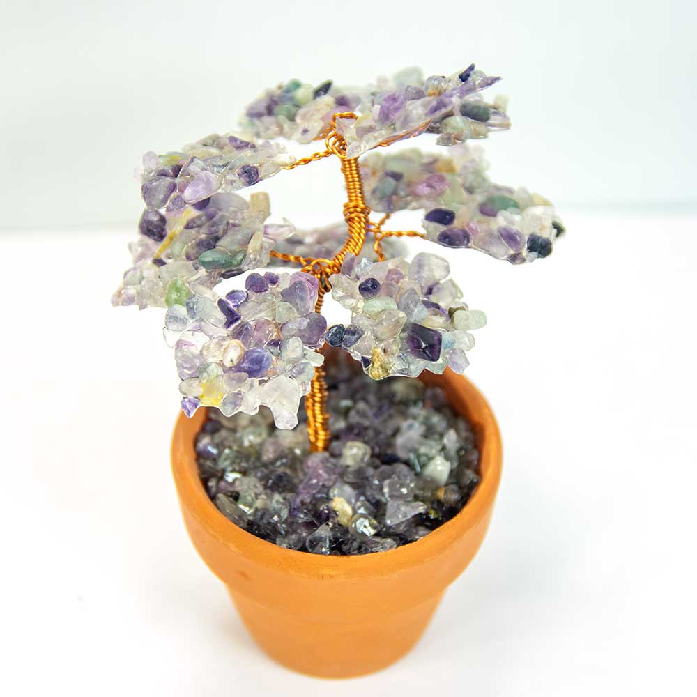 Gemstone Bonsai Tree In Terracotta Pot - Fluorite (Each)