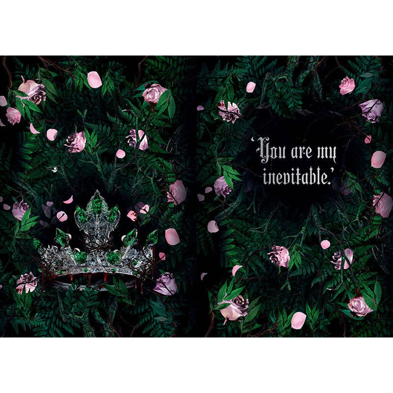 Lauren Roberts: Fearless Journal (NEW Exclusive!) - SALE!
