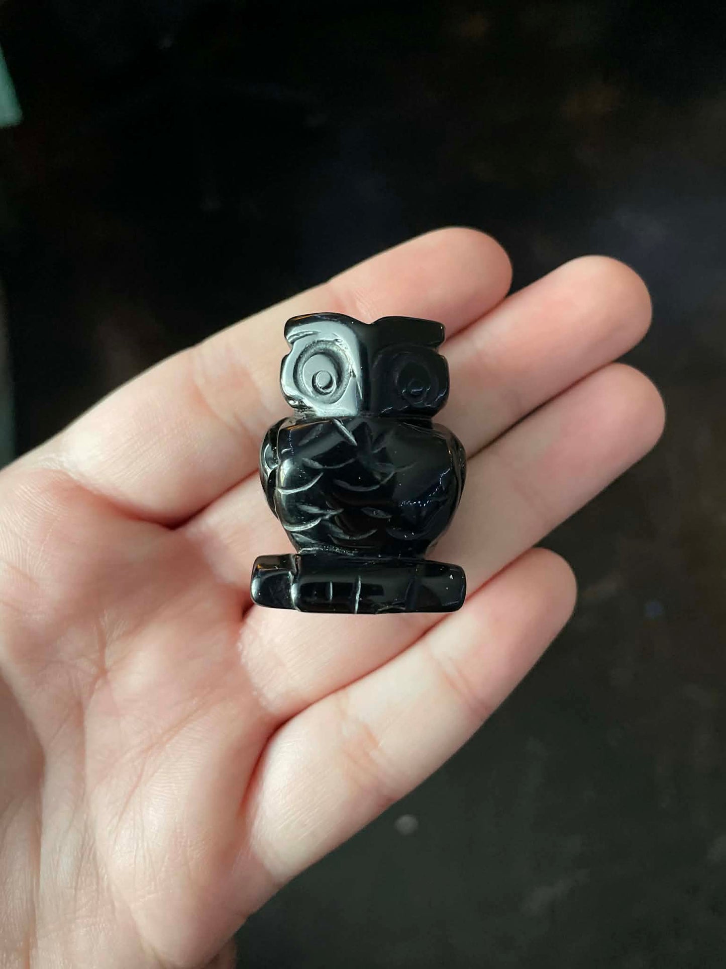 Obsidian Owl