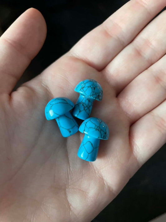 Turquoise Howlite Mushroom