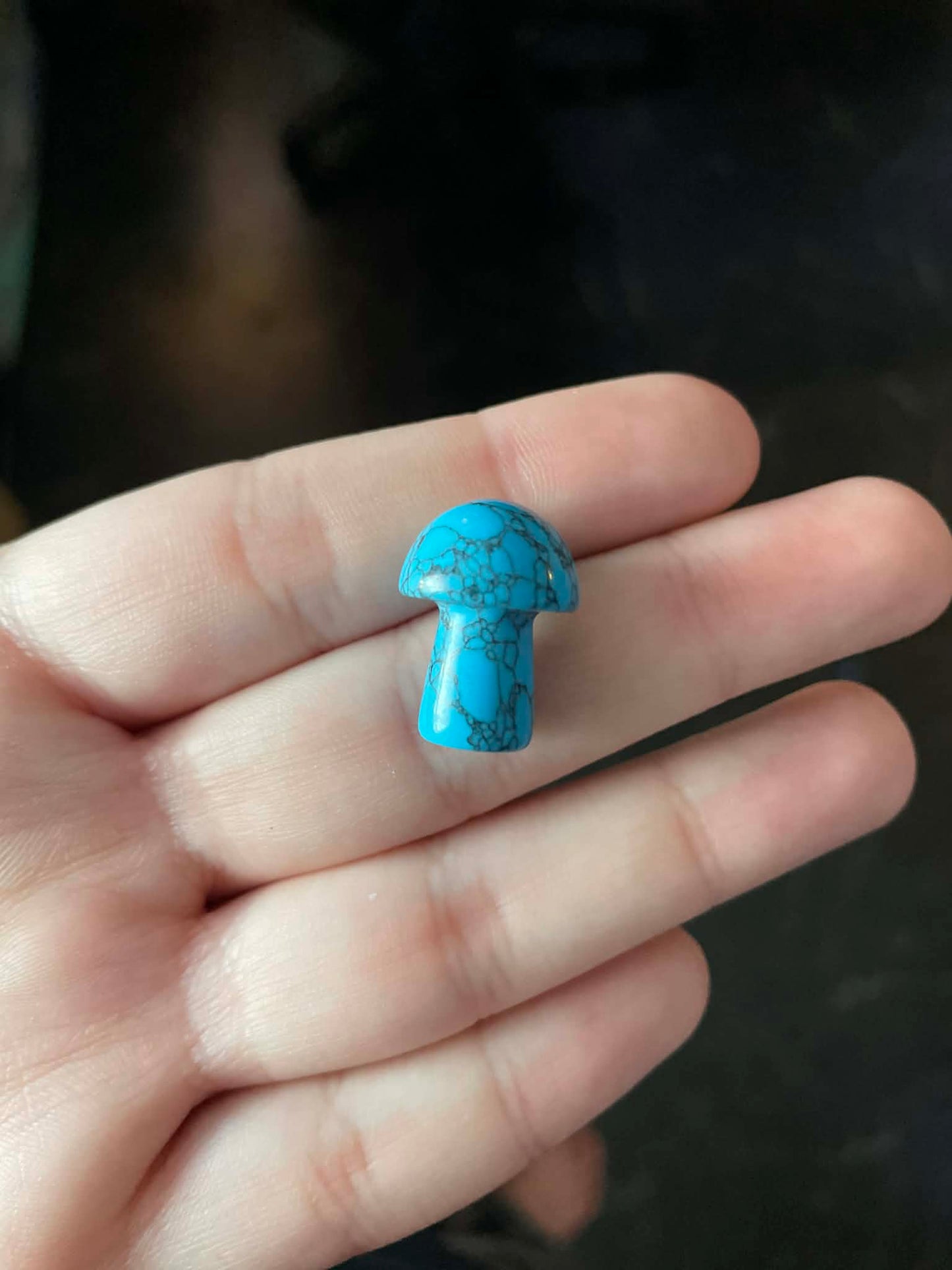 Turquoise Howlite Mushroom