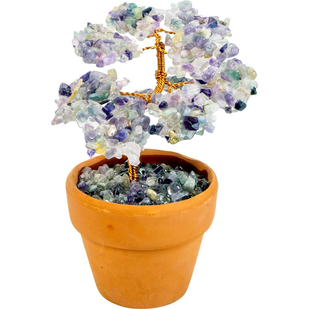 Gemstone Bonsai Tree In Terracotta Pot - Fluorite (Each)