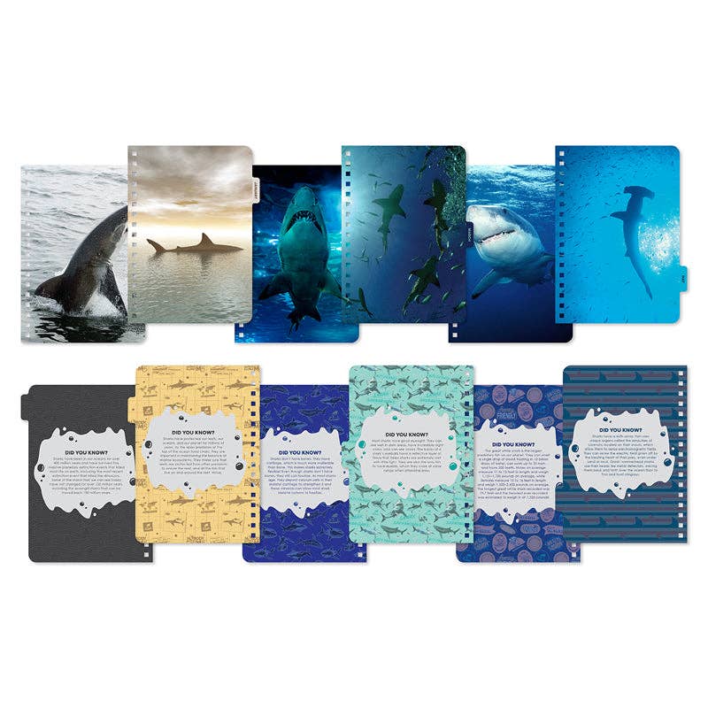 2026 Shark Week 13-Month Weekly Planner - SALE!