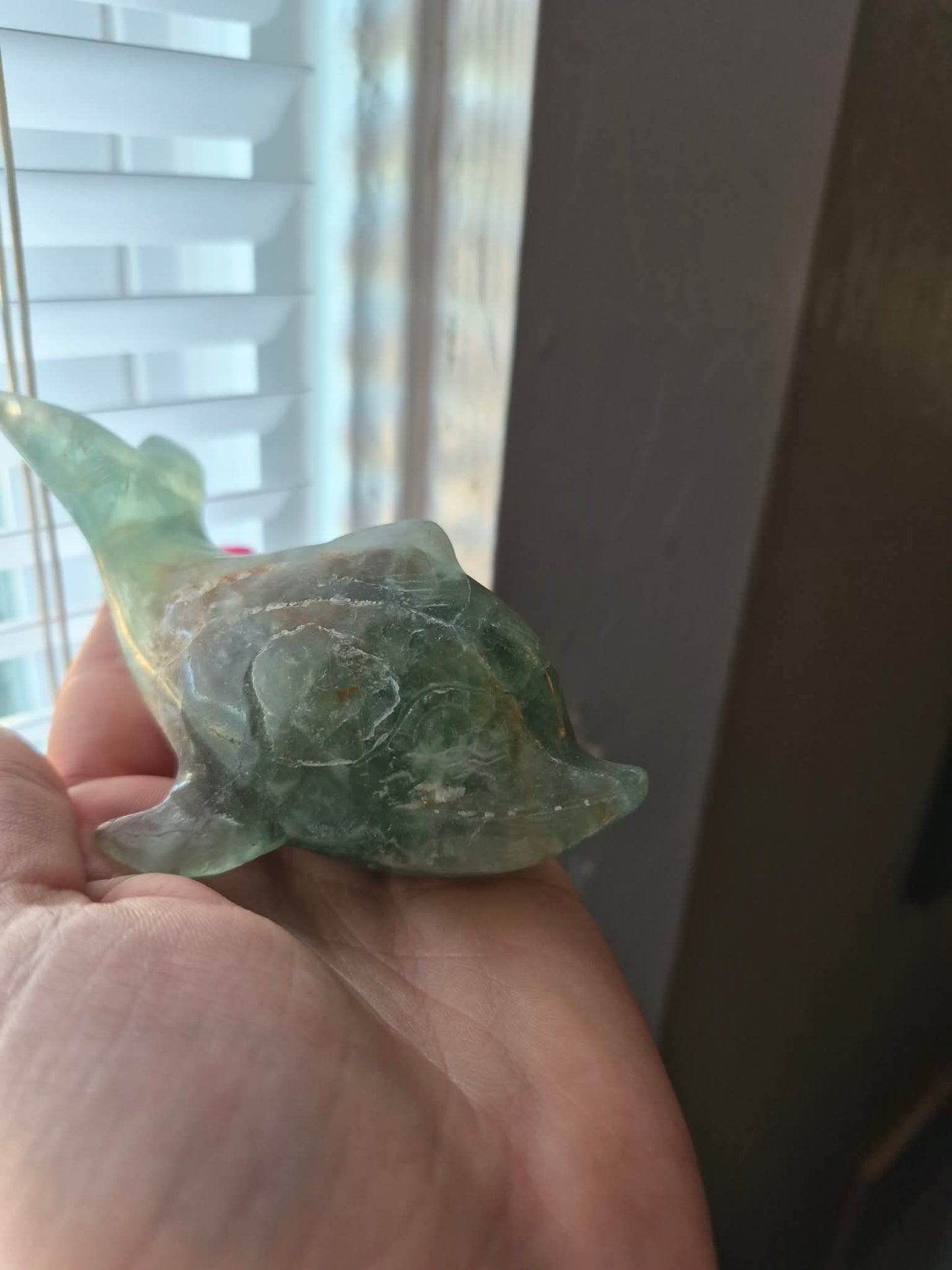 Flourite Dolphin