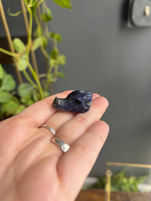 Sodalite Mini Dragon Head