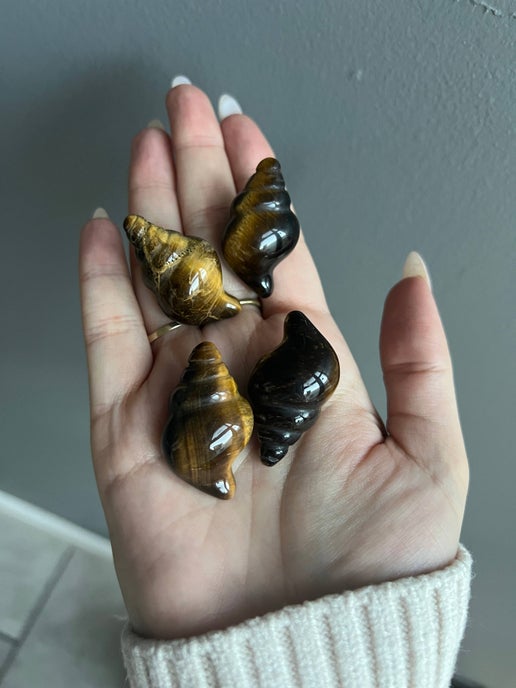 Tiger's Eye Shell